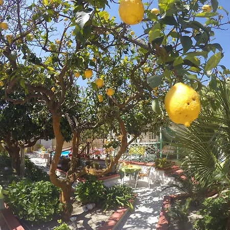 La Rondinella Forio di Ischia
