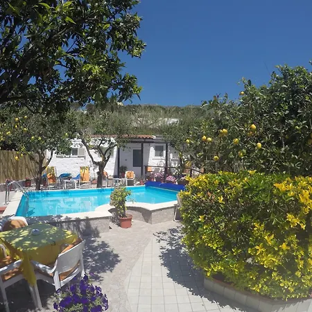 Hotell La Rondinella Forio di Ischia