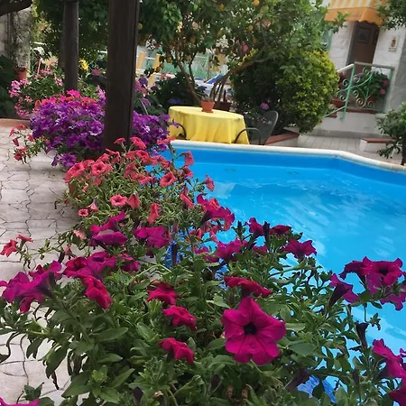 La Rondinella 2* Forio di Ischia